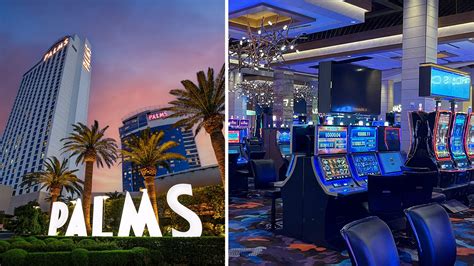 Palms Casino Owner - Exploring the Power Behind the Iconic Venue
